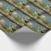 Papier Cadeau Chèvres laitières (Coin)
