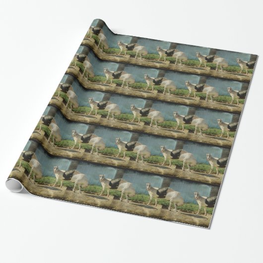 Papier Cadeau Chèvres laitières (Déroulé)