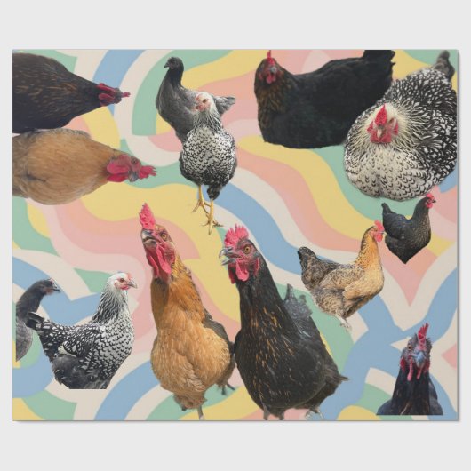 Papier Cadeau Chicken Mania 2 All Occasion Wrapping Paper (Plat)