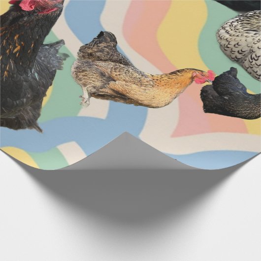 Papier Cadeau Chicken Mania 2 All Occasion Wrapping Paper (Coin)
