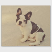 Papier Cadeau Chien (Plat)