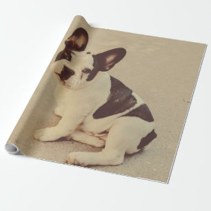 Papier Cadeau Chien