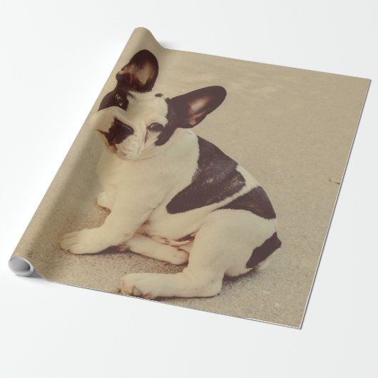 Papier Cadeau Chien (Déroulé)