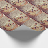 Papier Cadeau Chien (Coin)