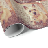 Papier Cadeau Chien (Coin rond)