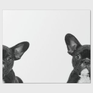 Papier Cadeau Chien adorable Black French Bulldog Face