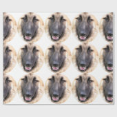 PAPIER CADEAU CHIEN ALLEMAND SHEPHERD (Plat)