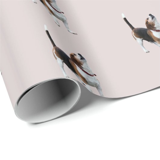 Papier Cadeau Chien Beagle mignon hurlant    (Coin rond)