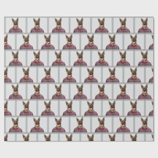 Papier Cadeau Chien berger allemand en plaid (Plat)