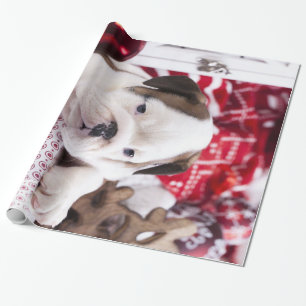 Papier Cadeau Chien-chien anglais mignon Noël drôle