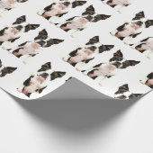 Papier Cadeau Chien d'art de la pop de Boston Terrier noir et bl (Coin)