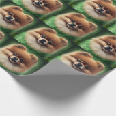 Papier Cadeau Chien de Poméranie en tenue de jour St. Patrick (Coin)