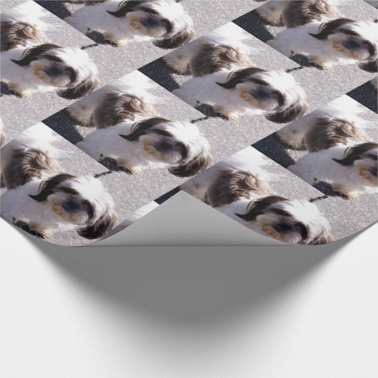 Papier Cadeau Chien de Shih Tzu (Coin)