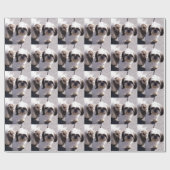 Papier Cadeau Chien de Shih Tzu (Plat)