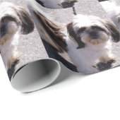 Papier Cadeau Chien de Shih Tzu (Coin rond)