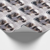 Papier Cadeau Chien de Shih Tzu (Coin)
