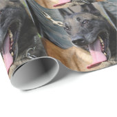 Papier Cadeau Chien de sourire de Malinois de Belge (Coin rond)