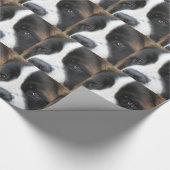 Papier Cadeau Chien de St Bernard (Coin)