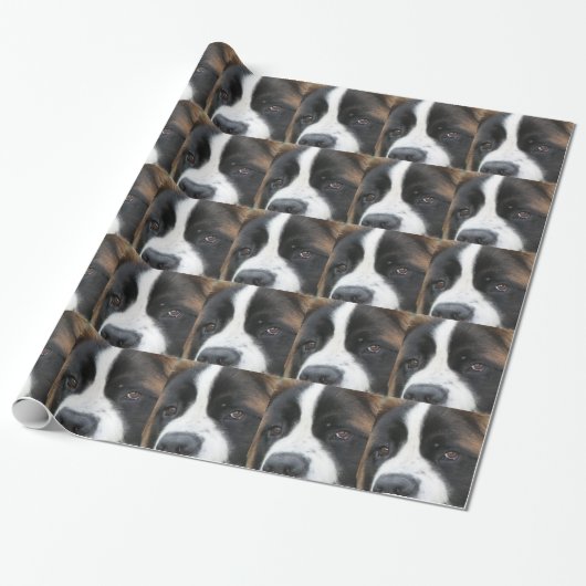 Papier Cadeau Chien de St Bernard (Déroulé)