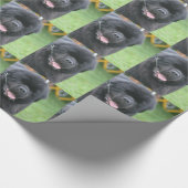 Papier Cadeau Chien de Terre-Neuve (Coin)