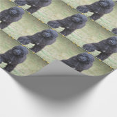 Papier Cadeau Chien d'eau portugais noir (Coin)