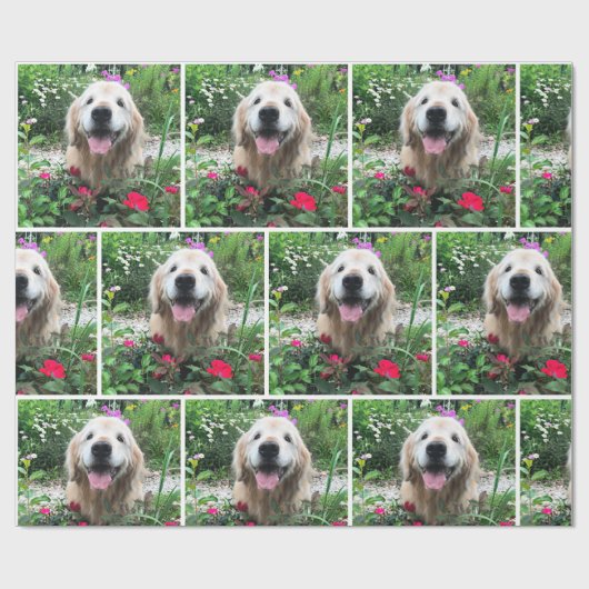 Papier Cadeau Chien d'or de l'équipe des fleurs toutes les occas (Plat)