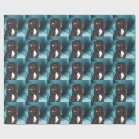 Papier Cadeau Chien pekingese noir mignon (Plat)