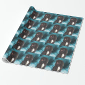 Papier Cadeau Chien pekingese noir mignon (Déroulé)