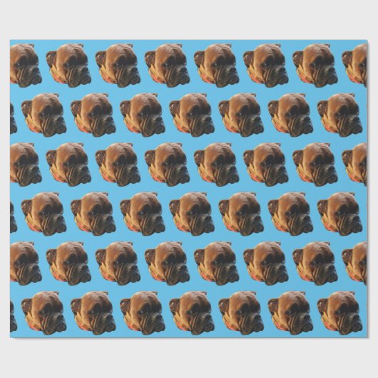 Papier Cadeau Chien Photo Boxer Chien Chien Chien Bleu Clair Per (Plat)