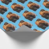 Papier Cadeau Chien Photo Boxer Chien Chien Chien Bleu Clair Per (Coin)