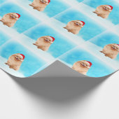 Papier Cadeau Chien Poméranien assis sur la plage Casquette de N (Coin)