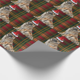 Papier Cadeau Chien Tervuren belge et Noël Jardin de Noël
