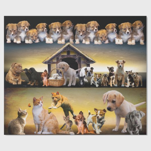 Papier Cadeau Chiens à l'infini chats chiots chatons chatons mèr (Plat)