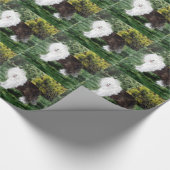 Papier Cadeau Chiens de berger anglais d'art de chien vieux (Coin)