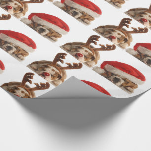 Papier Cadeau Chiens de Noël rouges Chiens de vacances Père Noël
