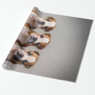 Papier Cadeau Chiens de taupe mignons   Cadeau Amoureux des chie