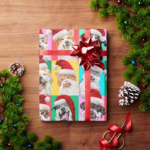 Papier Cadeau Chiens et chats avec la barbe du Père Noël