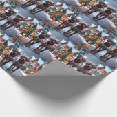 Papier Cadeau Chiens Rhodesian Ridgeback Noël Neige Fêtes (Coin)