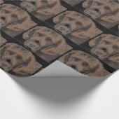 Papier Cadeau Chiens Springer anglais (Coin)