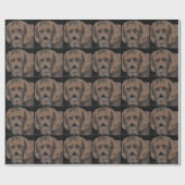 Papier Cadeau Chiens Springer anglais (Plat)