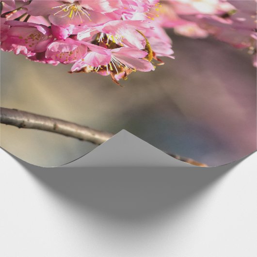 Papier Cadeau Chiffres croisés de Sakura Tree (Coin)