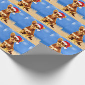 Papier Cadeau Chihuahua Chien Assis Sur La Plage Casquette De No (Coin)