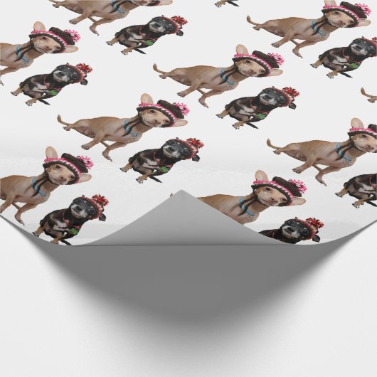 Papier Cadeau Chihuahua chiens en casquette (Coin)