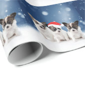Papier Cadeau Chihuahua Chiuppies mignonnes avec Noël du Père No (Coin rond)