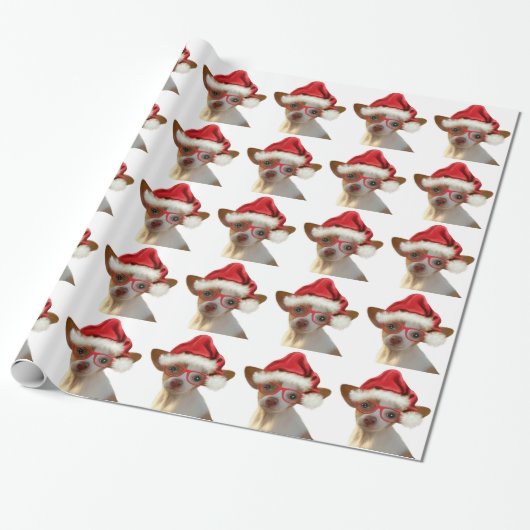 Papier Cadeau Chihuahua hipster (Déroulé)