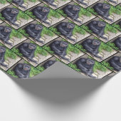 Papier Cadeau chimpanzé (Coin)