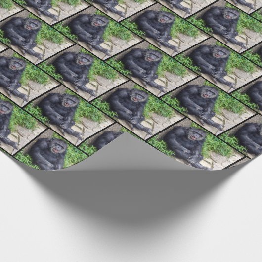 Papier Cadeau chimpanzé (Coin)
