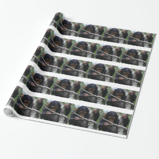 Papier Cadeau Chimpanzé de bébé