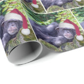 Papier Cadeau Chimpanzé de Noël avec chapeau de Père Noël (Coin rond)