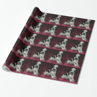 Papier Cadeau chiot américain rouan de cocker, Apollo